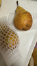 京鲜生  荷兰啤梨 微催熟净重3斤装  生鲜水果  源头直发 实拍图