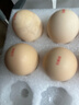 京鲜生可生食标准鲜鸡蛋30枚礼盒装3斤 源头直发 实拍图