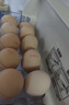京鲜生【每日鲜蛋】无抗谷物鸡蛋30枚 3.18斤 当日产蛋 当日发货 实拍图