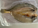 鲜京采宁德黄鱼鲞4条/2斤(单条235-255g)三去处理鱼类 地标 源头直发 实拍图