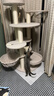 兽牌森林猫爬架大型猫树猫窝一体豪华剑麻猫架太空舱缅因大猫暖冬适用 森林【经典款】 实拍图