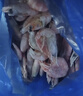 禧美海产 熟冻北极甜虾净重3斤装/盒 150/180小号规格 MSC认证 年货送礼 实拍图