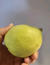 京鲜生 新疆库尔勒香梨 净重5斤 一级 单果100g-120g  生鲜水果 实拍图
