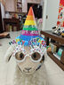 多美忆生日帽生日场景布置生日道具氛围派对装饰卡通生日帽+眼镜+吹龙 实拍图
