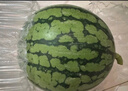 京鲜生 无籽麒麟大西瓜 1粒装 7-9斤 生鲜水果 实拍图