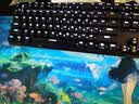 【95成新】小米机械键盘 MK71 Pro 冰川 有线/无线/蓝牙三模游戏办公键盘71配列RGB热插拔客制化Gasket结构LCD屏   实拍图