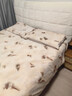 皇朝家私仿生羊绒四件套 A类高克重牛奶绒套件 冬季加厚床上床单被套200*230cm 春屿米 实拍图