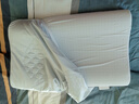 水星家纺93%乳胶枕头特拉雷工艺乳胶枕芯A类抑菌蚕丝枕套可水洗枕头·蓝 实拍图