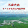十月稻田 2025年新米 绿色食品 五常大米 10斤（香米 东北大米 5公斤） 实拍图