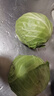 高原夏菜新鲜包菜卷心菜绿甘南菜甘蓝圆白菜时令蔬菜健康营养早餐 3斤带箱农家好菜 实拍图