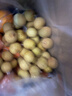 京鲜生 泰国精选进口龙眼  净重1斤 果径23-25mm 水果 源头直发包邮 实拍图