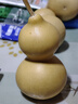 御如意天然葫芦挂件大号摆件家居文玩小手捻带龙头真葫芦横梁卧室窗户门 11-13带藤挂件 实拍图