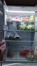 TCL 480L十字门冰箱超窄小户型抗菌净味深冷速冻电冰箱一级能效风冷无霜以旧换新R480V7-U国家补贴 实拍图