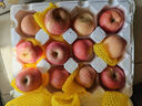 京鲜生山东烟台红富士苹果 5斤装单果75-80mm生鲜水果 源头直发 包邮 实拍图