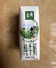 伊利金典纯牛奶整箱 250ml*16盒 3.6g乳蛋白 年货礼盒装 实拍图