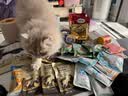 麦富迪羊奶棒 冻干猫咪零食小猫成幼猫专用鸡肉猫草磨牙棒洁齿补充营养 羊奶棒随机口味8包（约24支）体验装 实拍图