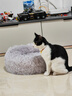 憨憨乐园狗窝猫窝垫子小型犬泰迪宠物窝床猫咪狗狗四季保暖窝垫子长毛窝M 实拍图