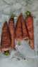 京喜加新鲜现挖现发胡萝卜农家自种蔬菜水果沙地红萝卜 带泥胡萝卜2斤 含箱 实拍图
