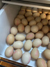 德青源A级鲜鸡蛋32枚2.74斤起无抗生素 谷物喂养  营养早餐家庭礼盒 实拍图