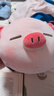 名创优品（MINISO）小猪B-BO弹力超柔趴姿毛绒公仔玩偶抱枕靠枕玩具送女友生日礼物女 实拍图