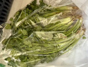 带根香菜100g 实拍图