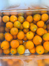 京鲜生 广西滑皮金桔 1.8斤 单果13g起 桔橘新鲜水果礼盒 源头直发包邮 实拍图