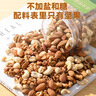 洽洽进化论混合纯坚果500g罐装榛子仁腰果仁巴旦木休闲零食送礼年货 实拍图