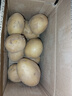 京喜加新鲜黄心土豆农家自种黄皮马铃薯黄心洋芋新鲜蔬菜 2斤 实拍图