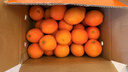 京鲜生 江西赣南脐橙橙子 净重8斤 单果150g+ 水果年货礼盒 源头直发 实拍图