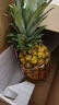 佳农 黑钻菠萝1粒装 巨无霸 菲律宾凤梨 净重3.6斤 生鲜水果 包邮 实拍图