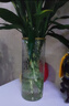 大号家用加厚透明玻璃花瓶摆件富贵竹水培百合干花客厅餐桌花瓶 20cm直筒水波纹金口 实拍图