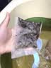 葵花儿童三伏泡澡中药包婴儿药浴小儿感冒鼻塞抵抗力差消化不良感冒型 实拍图