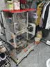 捕渔达人鹦鹉镜子【赠秋千鸟玩具】花椒木鸟笼站杆站架玄凤鸟用镜子小站台 晒单实拍图
