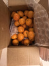 广西武鸣沃柑2025橘子新鲜水果当季一级沙糖蜜橘砂糖柑橘大果 大果(单果径65-70mm) 净重8.5斤 实拍图