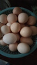 鲜鸡蛋50±5克/枚 柴鸡蛋农家散养笨鸡蛋 新鲜鸡蛋 30枚 实拍图
