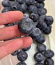 佳沃（JOYVIO） 秘鲁进口蓝莓 14mm+ 礼盒装4盒 约125g/盒 水果礼盒 实拍图