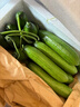 京鲜生 山东水果黄瓜 净重3斤 单果70g+ 青瓜荷兰瓜 源头直发 实拍图
