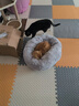 喵仙儿猫窝秋冬保暖猫垫子四季通用长绒保暖狗窝深睡宠物用品 70CM 实拍图
