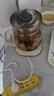 小熊（Bear）养生壶 2L大容量煮茶壶煮茶器 24H恒温花茶壶 炖煮一体烧水壶电热水壶 316L母婴材质 YSH-D20T6 实拍图