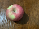 京鲜生 烟台红富士苹果 净重10斤 单果220g以上 水果礼盒 实拍图