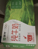 蒙牛全脂纯牛奶250ml*21盒 早餐健身伴侣 跨年礼盒 实拍图
