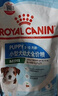 皇家狗粮 幼犬狗粮 宠物 小型犬 MIJ31 全价犬粮 2-10月 2KG 实拍图