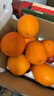 玖原农珍 赣南脐橙新鲜橙子含箱10斤净重9斤优选果150-300g 年货水果礼盒 实拍图