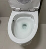 九牧（JOMOO）11173-2-1/31KD-3大力神家用马桶虹吸抗菌节水洁具305坑距 实拍图