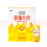 伊利【新鲜日期】味可滋 香蕉牛奶整箱240ml*12盒 包装随机 礼盒装 实拍图