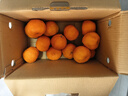 万春寨正宗永春芦柑5斤/10斤礼盒装新鲜芦柑橘子柑桔 桔子当季水果大果 【优选大果】果径75mm礼盒（净重9.2斤）10斤装 实拍图