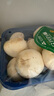 白蘑菇(口蘑) 230g 实拍图