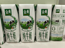 伊利金典纯牛奶整箱 200ml*24盒 3.6g乳蛋白 原生高钙 年货礼盒装 实拍图