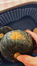 家美舒达 山东 贝贝南瓜 板栗小南瓜 3斤 出口级 新鲜蔬菜 实拍图