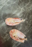 禧美海产 头籽北极甜虾净重3斤 90/120规格 95%头籽 MSC认证 海鲜水产 实拍图